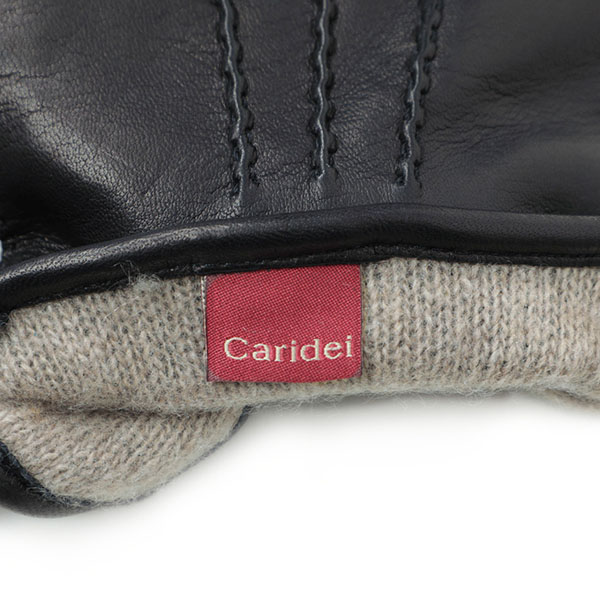 CARIDEI カリデイ グローブ メンズ レザー ナッパ 手袋 スマホ
